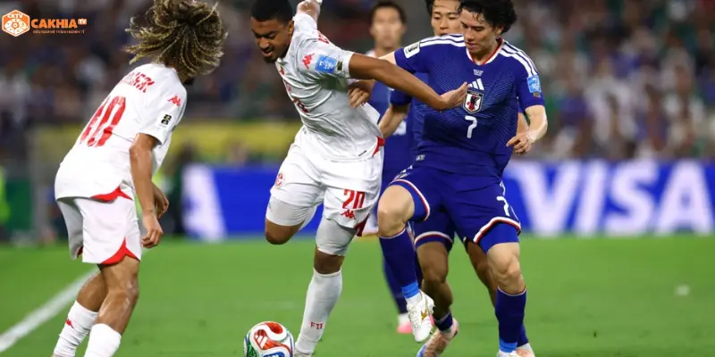 Virgil Van Dijk Cody Gakpo Hà Lan Tunisia vs Hà Lan World Cup 2026